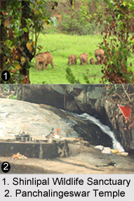 Tourism in Odisha