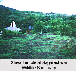 Sagareshwar Wildlife Sanctuary, Sangli District, Maharashtra