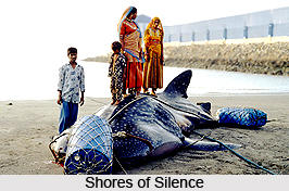 Documentary Films in India