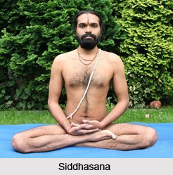 Guptasana