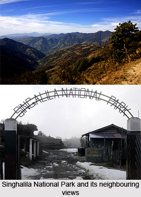 Singhalila National Park, Tourist Places in Darjeeling, West Bengal