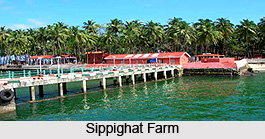Tourism in Port Blair