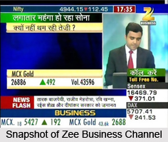 Zee Business, Indian Business Channel