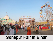 Villages of Bihar, Villages of India