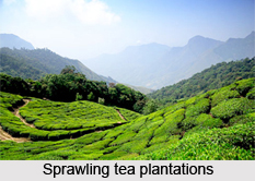 Tourism of Idukki District, Kerala