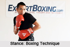 Techniques in Boxing, Indian Athletics