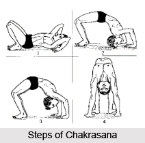 Chakrasana