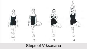 Vrksasana