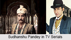 Sudhanshu Pandey, Indian TV Actor