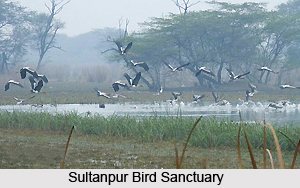 Tourism In Haryana