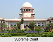 Salient Features of Indian Constitution