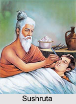 Sushruta Samhita, Ayurveda