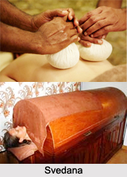 Applications of Medicine to the Skin, Classification of