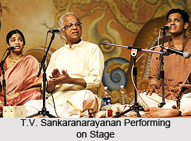 T.V. Sankaranarayanan, Indian Musician