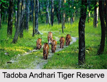Maharashtra Eco Parks