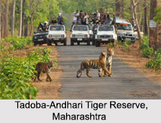 Tourism in West India