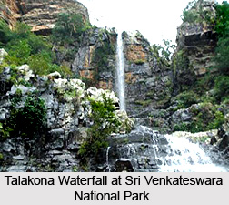 Sri Venkateswara National Park, Andhra Pradesh