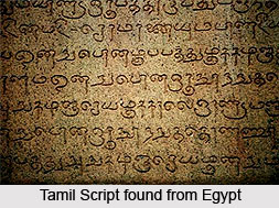 Tamil Scripts