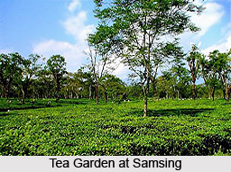 Samsing, Jalpaiguri District, West Bengal
