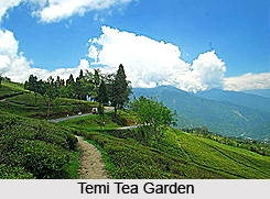 Biksthang, West Sikkim