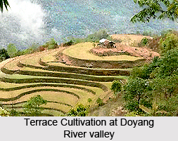 Doyang River