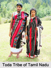 Tribes of Tamil Nadu