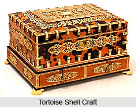 Shell Craft