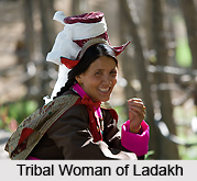 Demographics of Ladakh