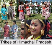 North Indian Tribes