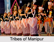North East Indian Tribes