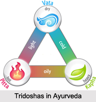 Ayurvedic Diet for Doshas