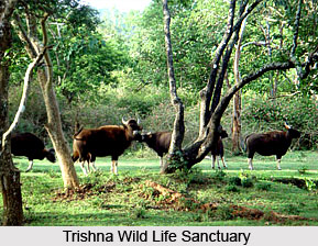 Tourism in South Tripura District