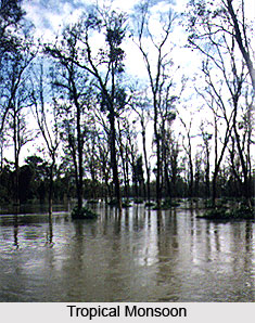 Dibru-Saikhowa National Park and Biosphere Reserve