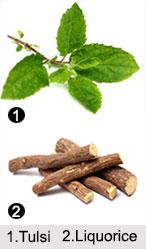Ayurvedic Herbs, Ayurveda