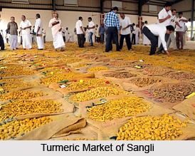 Sangli, Maharashtra