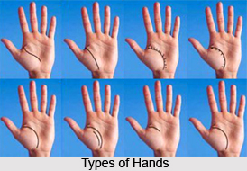 Fore Parts Of Fingers, Palmistry