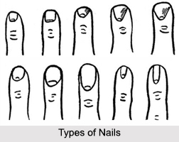 Nails, Palmistry
