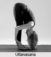 Impact of Yoga Asanas on Digestive System