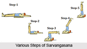 Sarvangasana