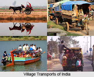 Indian Village Transport