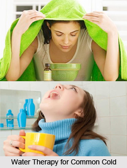 Natural Remedy for Common Cold, Naturopathy