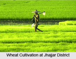 Jhajjar District, Haryana