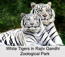 Zoos in India