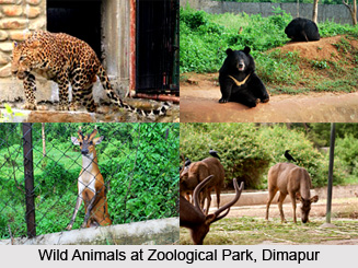 Tourism in Dimapur District