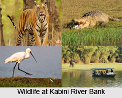 Kabini River