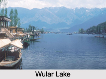 Wetlands of Jammu and Kashmir