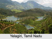 Hill Stations of South India