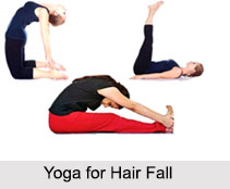 Treatments of Hair Fall, Hair Disorder