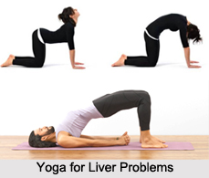 Yoga for Common Diseases, Yoga
