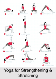 Yoga for Athletes